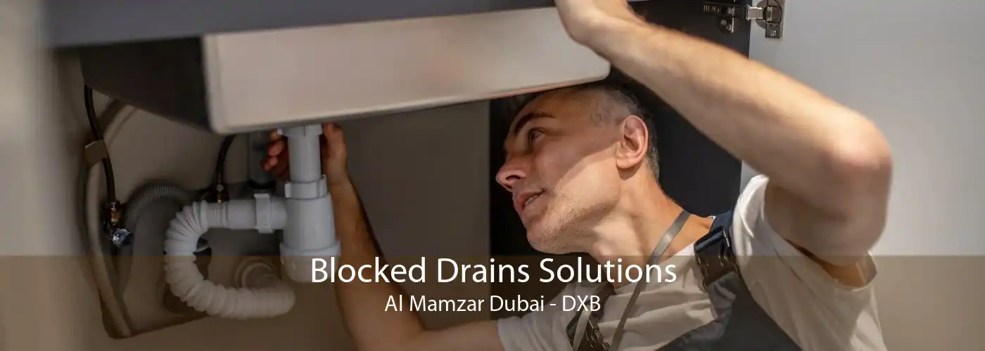 Blocked Drains Solutions Al Mamzar Dubai - DXB