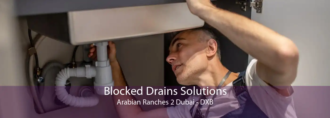 Blocked Drains Solutions Arabian Ranches 2 Dubai - DXB