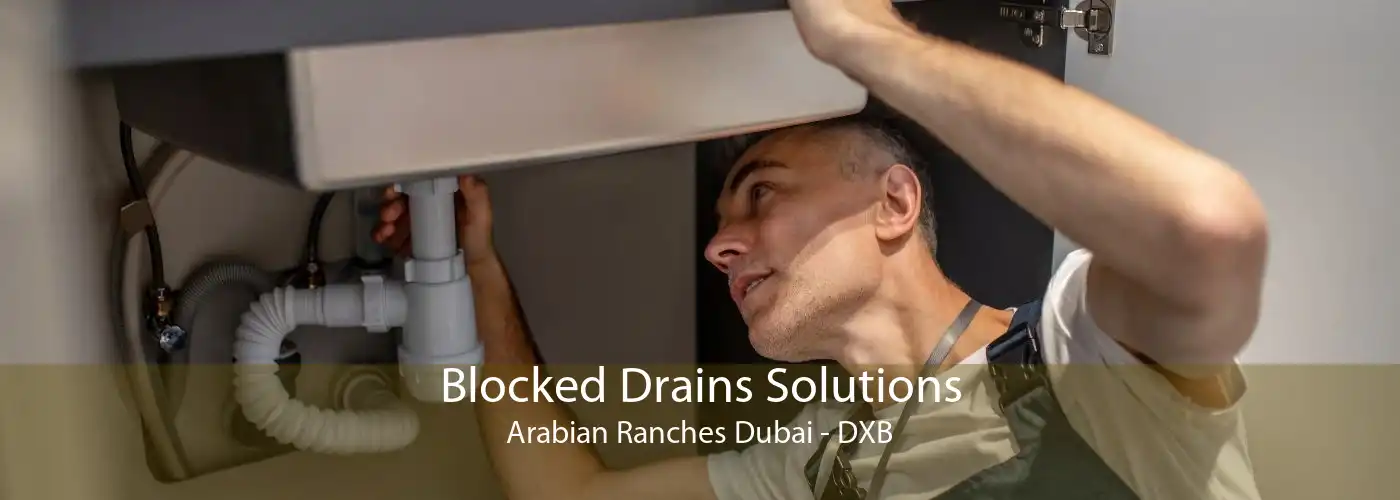 Blocked Drains Solutions Arabian Ranches Dubai - DXB