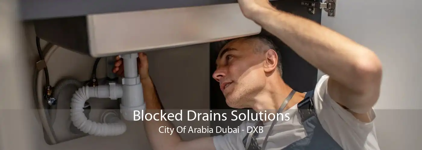 Blocked Drains Solutions City Of Arabia Dubai - DXB
