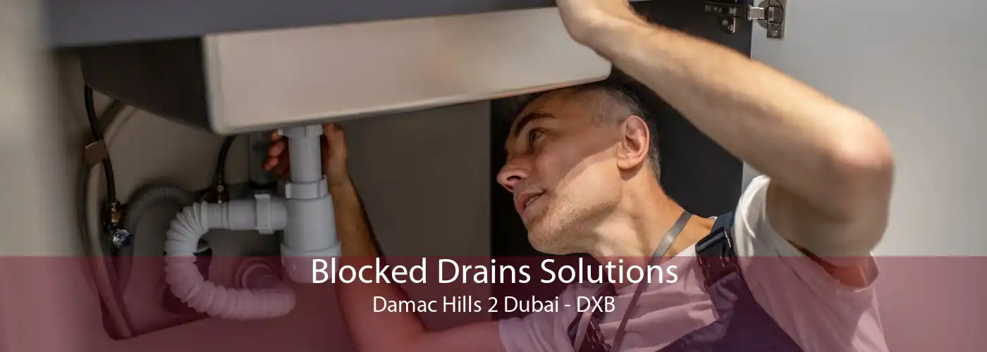 Blocked Drains Solutions Damac Hills 2 Dubai - DXB