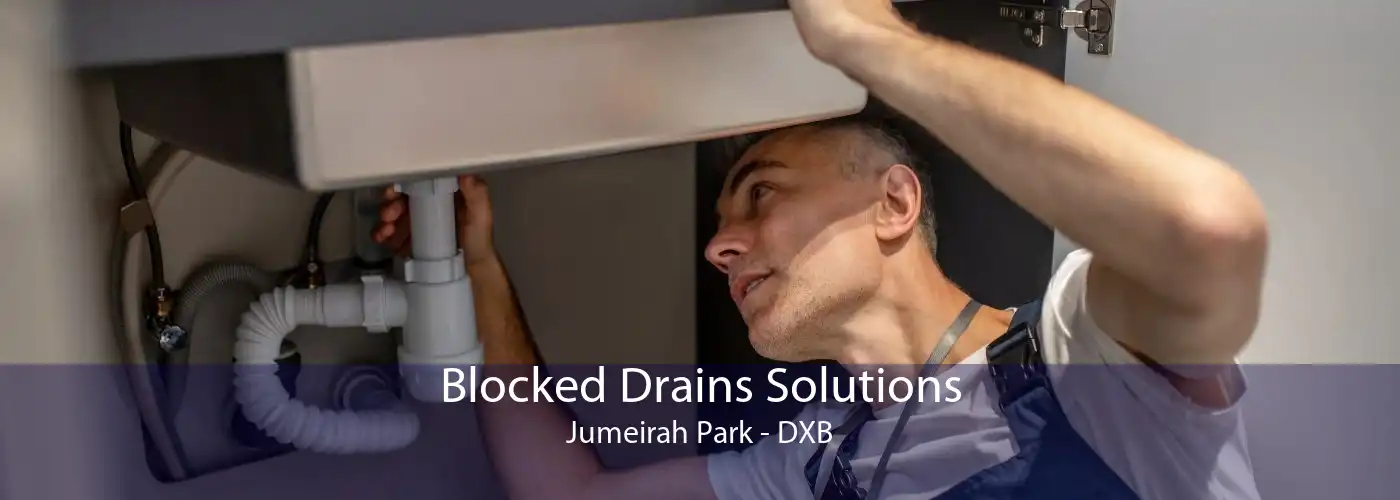 Blocked Drains Solutions Jumeirah Park - DXB
