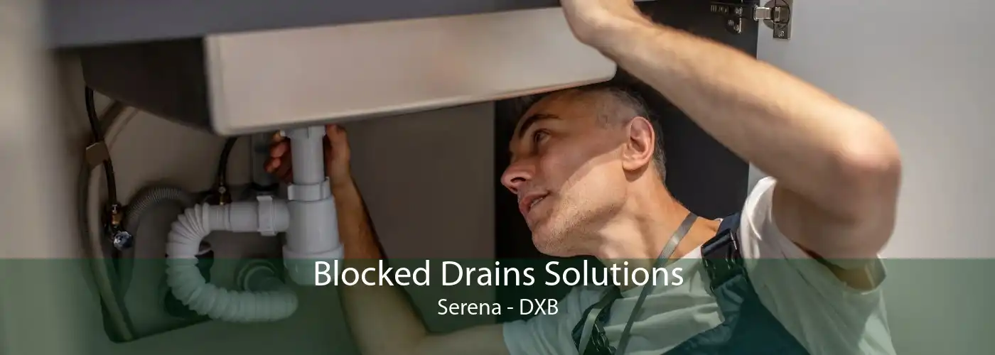Blocked Drains Solutions Serena - DXB