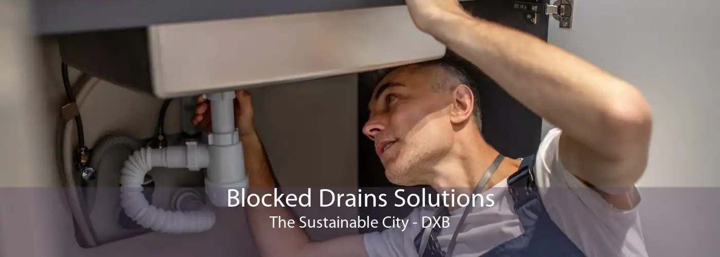 Blocked Drains Solutions The Sustainable City - DXB
