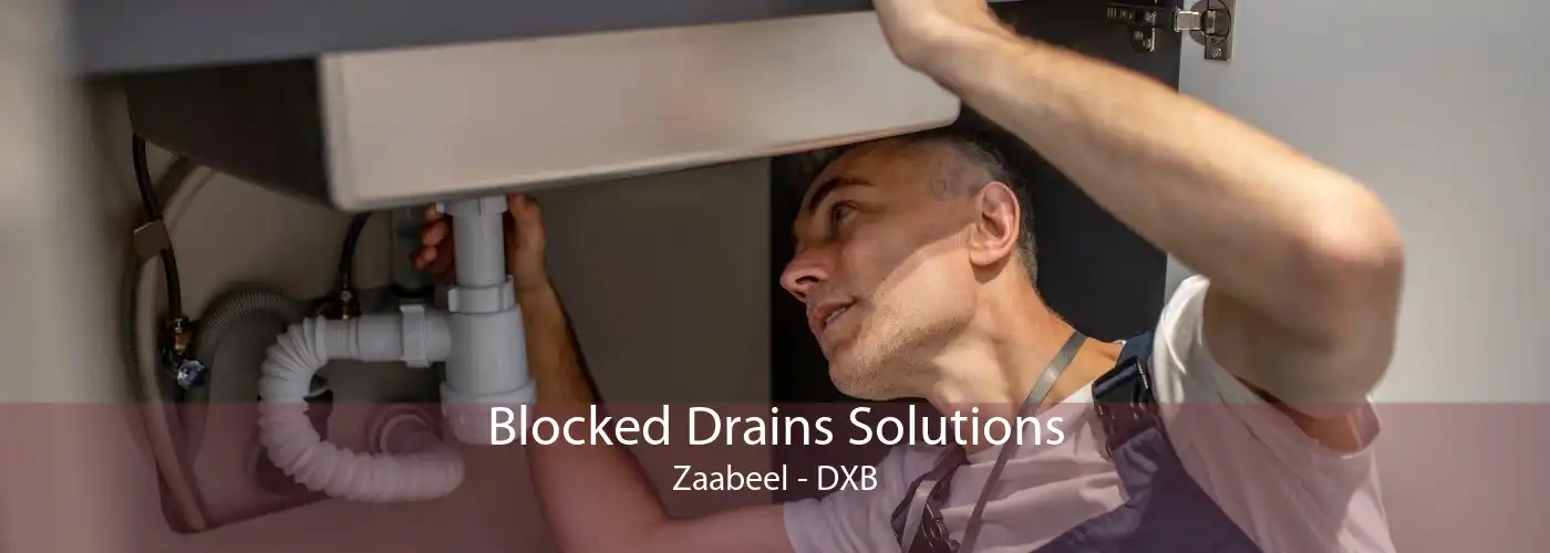 Blocked Drains Solutions Zaabeel - DXB