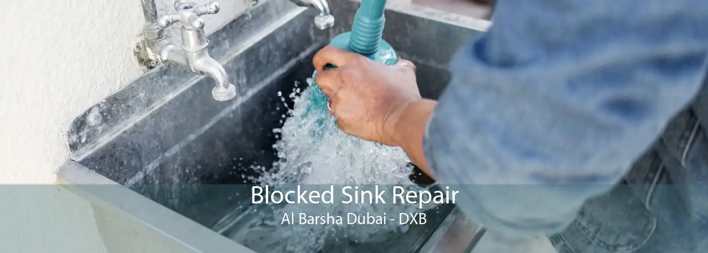 Blocked Sink Repair Al Barsha Dubai - DXB