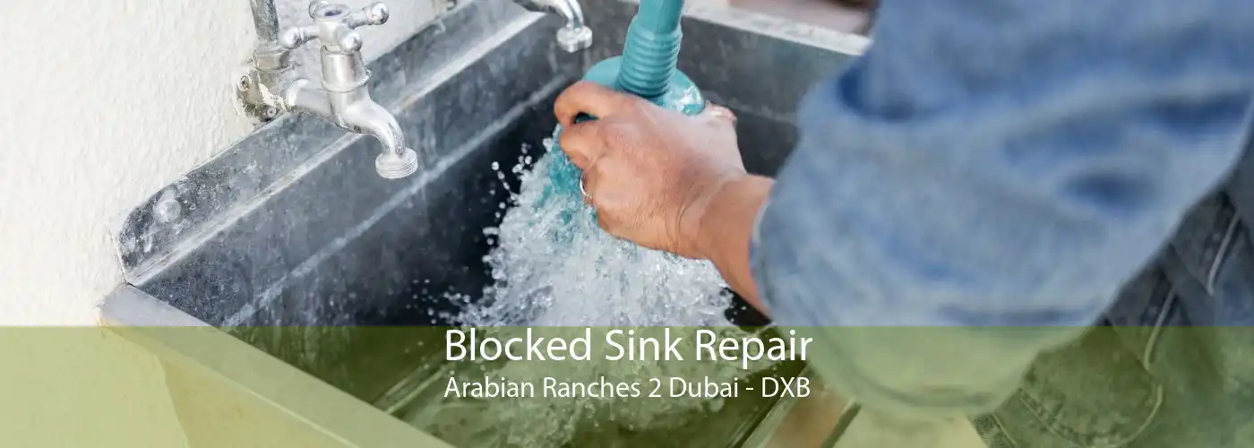 Blocked Sink Repair Arabian Ranches 2 Dubai - DXB