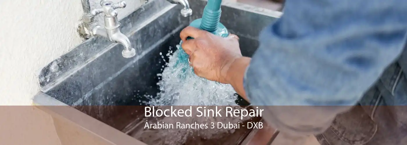 Blocked Sink Repair Arabian Ranches 3 Dubai - DXB