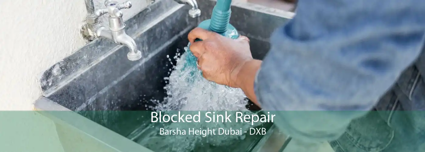 Blocked Sink Repair Barsha Height Dubai - DXB