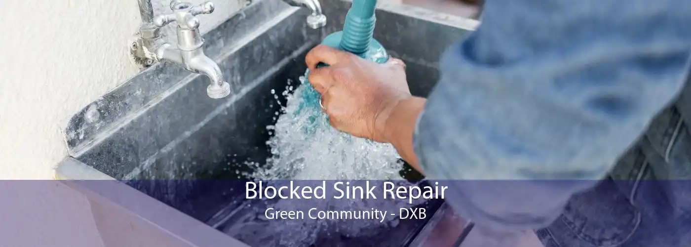 Blocked Sink Repair Green Community - DXB