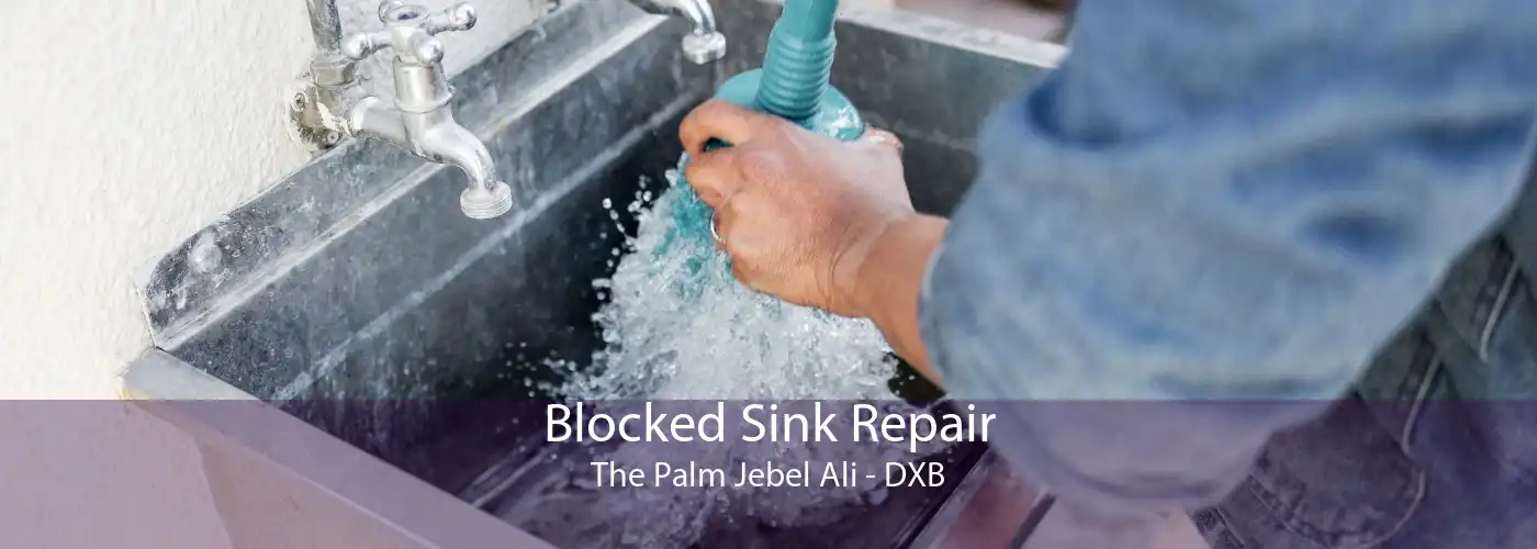 Blocked Sink Repair The Palm Jebel Ali - DXB