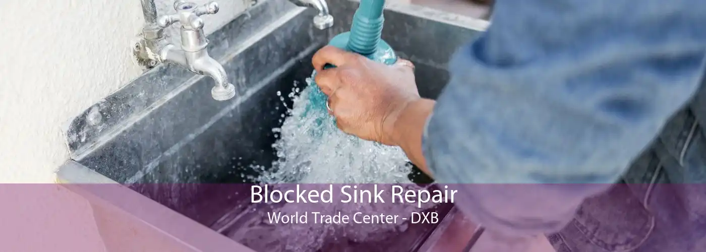 Blocked Sink Repair World Trade Center - DXB