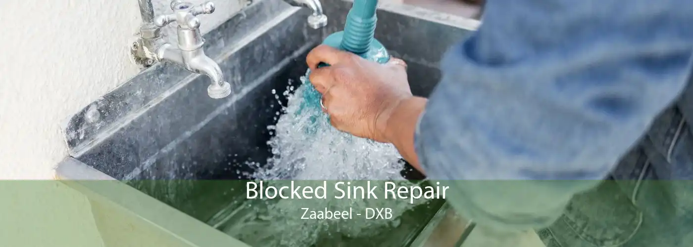 Blocked Sink Repair Zaabeel - DXB