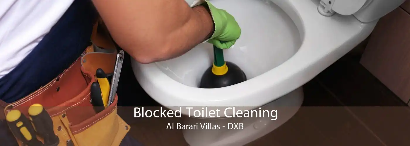 Blocked Toilet Cleaning Al Barari Villas - DXB