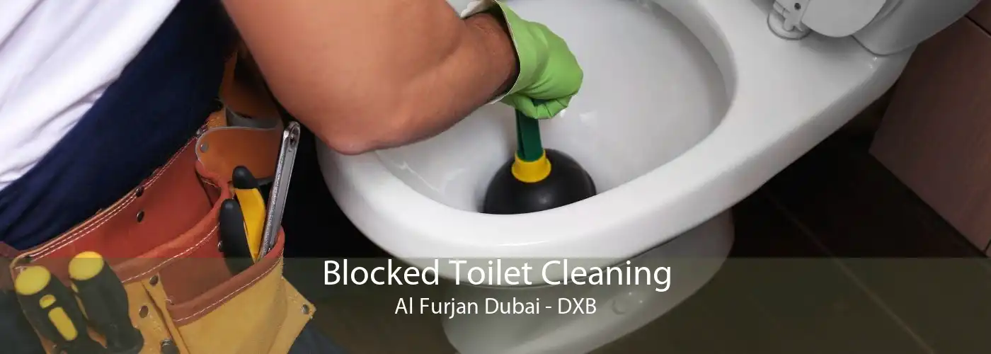 Blocked Toilet Cleaning Al Furjan Dubai - DXB