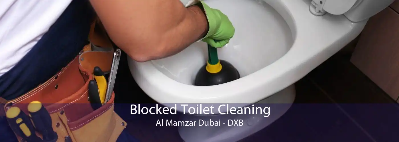 Blocked Toilet Cleaning Al Mamzar Dubai - DXB