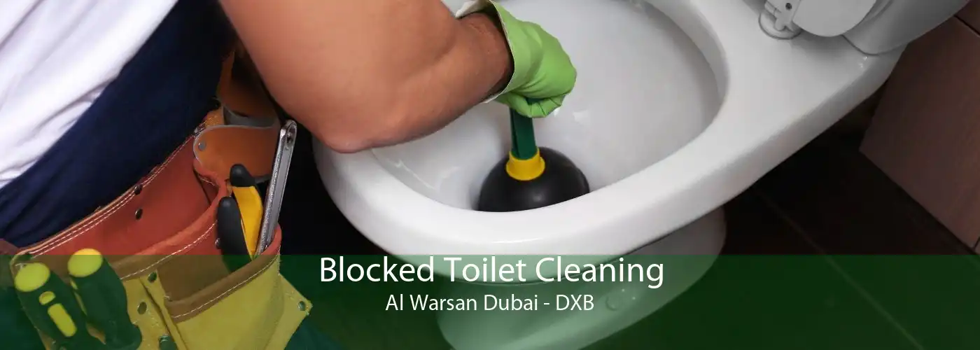 Blocked Toilet Cleaning Al Warsan Dubai - DXB