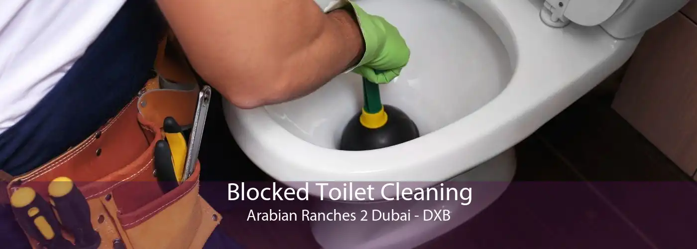 Blocked Toilet Cleaning Arabian Ranches 2 Dubai - DXB