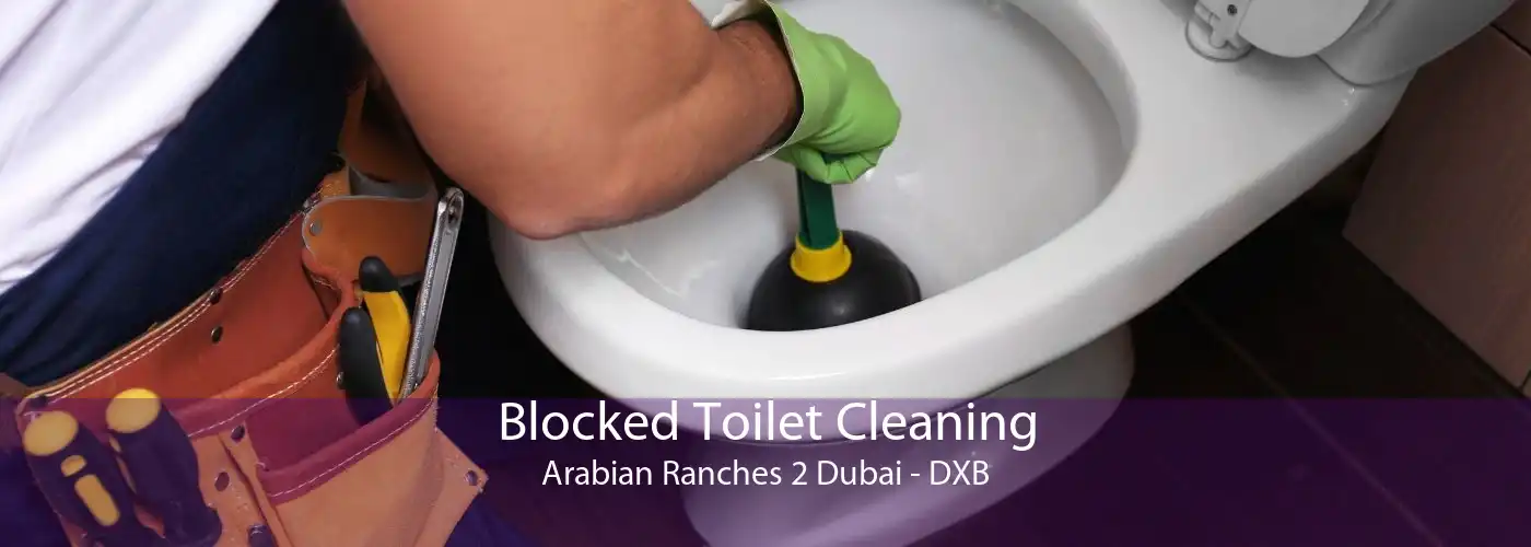 Blocked Toilet Cleaning Arabian Ranches 2 Dubai - DXB