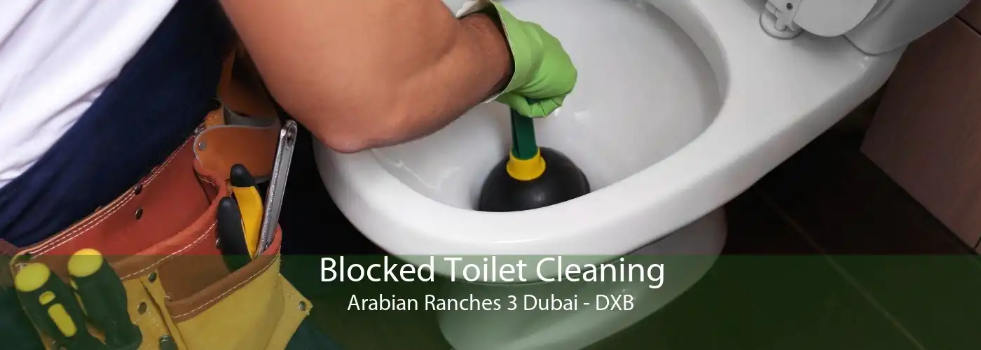 Blocked Toilet Cleaning Arabian Ranches 3 Dubai - DXB