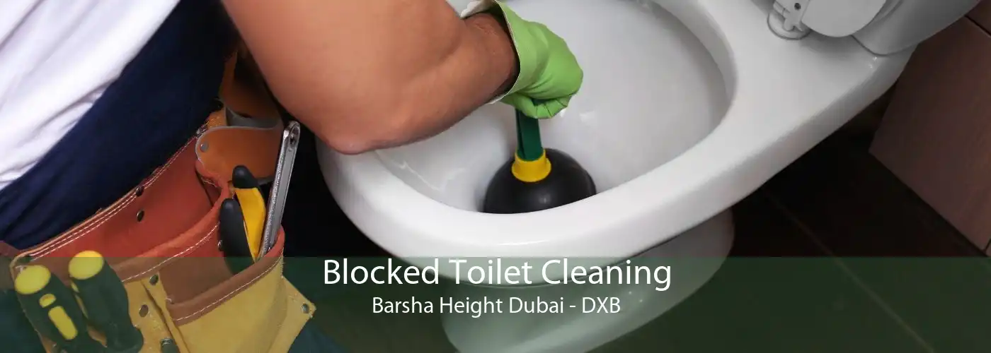 Blocked Toilet Cleaning Barsha Height Dubai - DXB