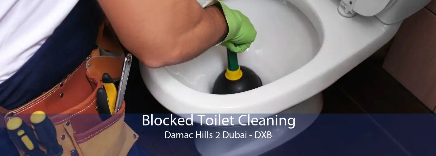 Blocked Toilet Cleaning Damac Hills 2 Dubai - DXB