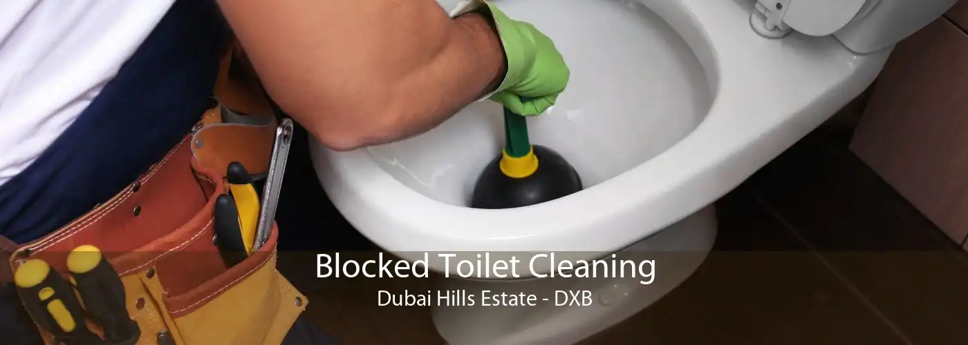 Blocked Toilet Cleaning Dubai Hills Estate - DXB