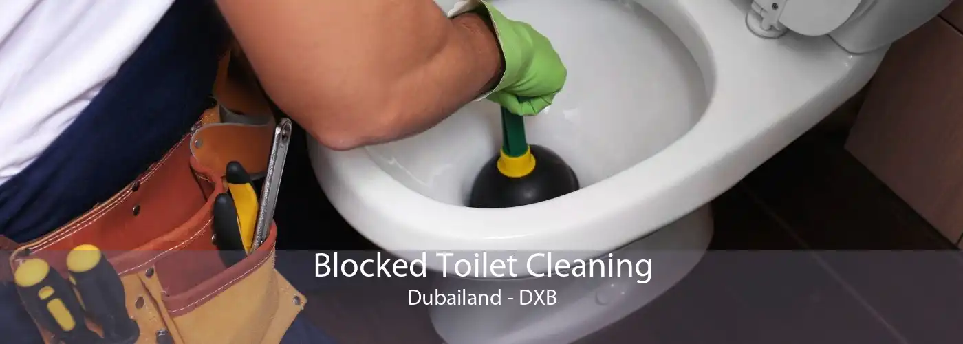 Blocked Toilet Cleaning Dubailand - DXB