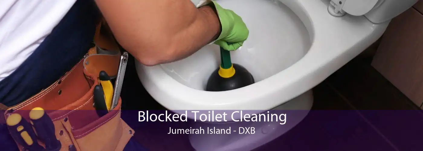Blocked Toilet Cleaning Jumeirah Island - DXB