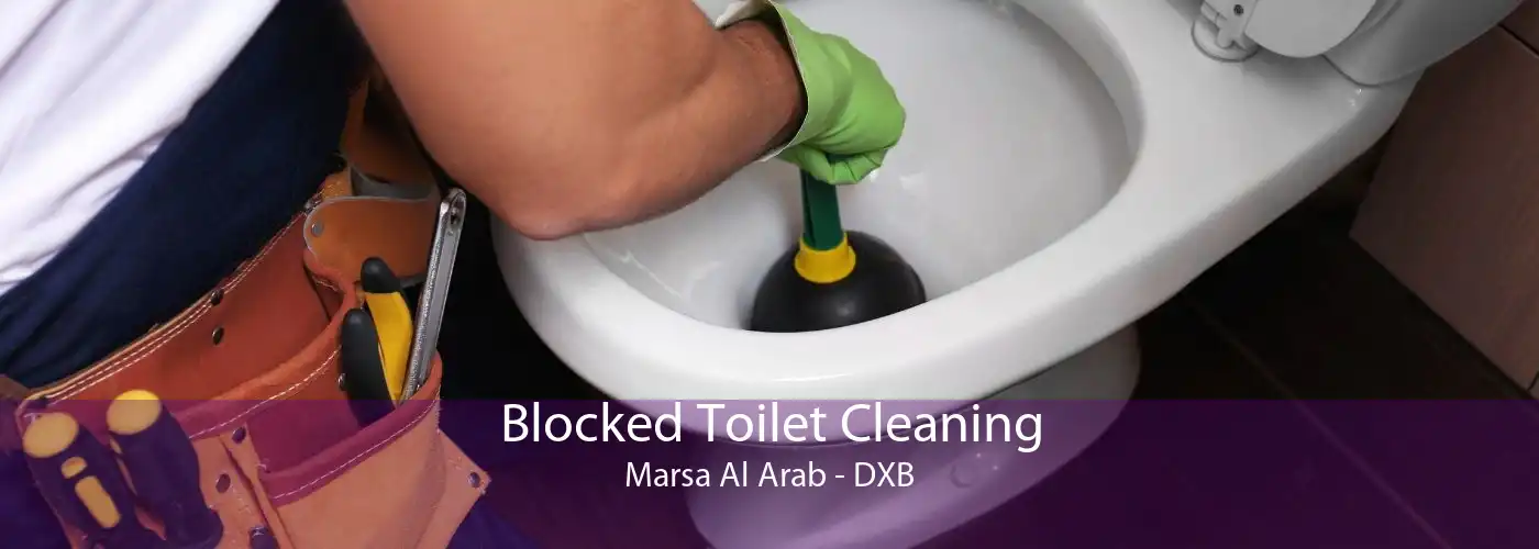 Blocked Toilet Cleaning Marsa Al Arab - DXB