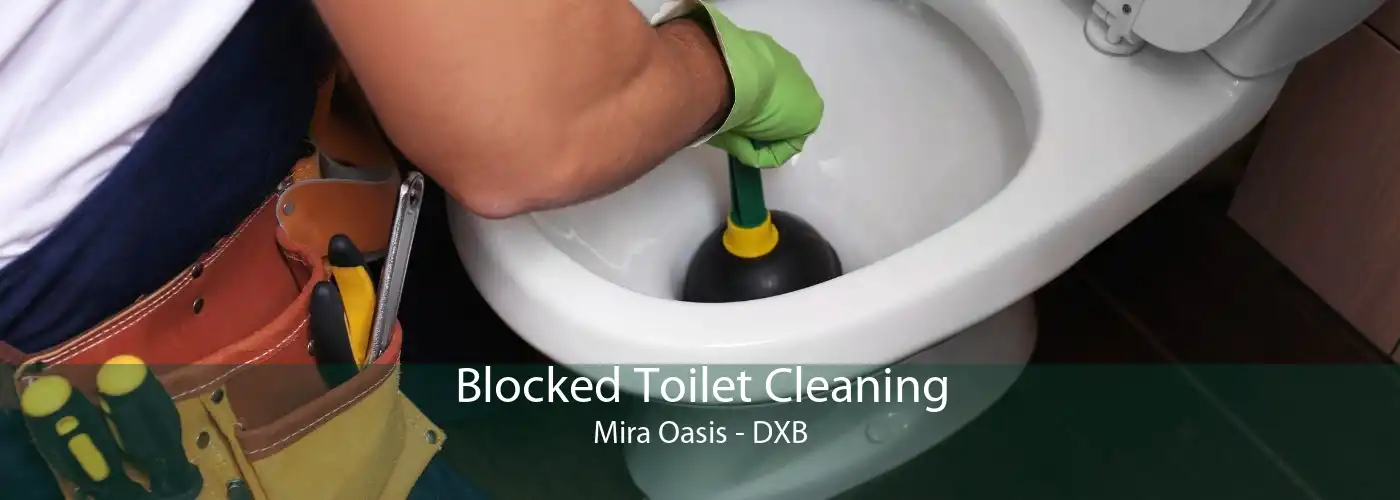 Blocked Toilet Cleaning Mira Oasis - DXB