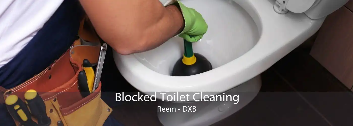 Blocked Toilet Cleaning Reem - DXB
