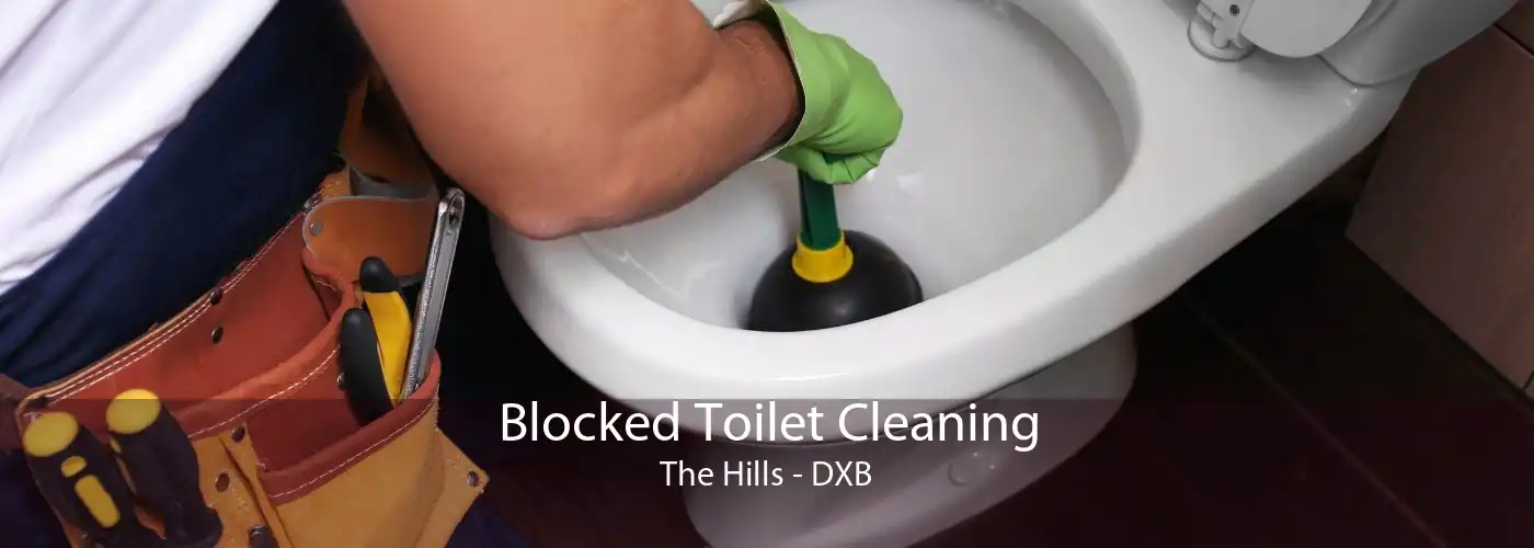 Blocked Toilet Cleaning The Hills - DXB
