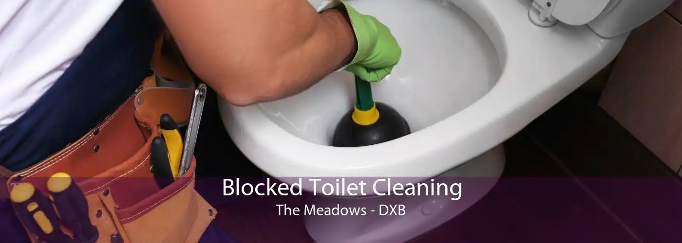Blocked Toilet Cleaning The Meadows - DXB