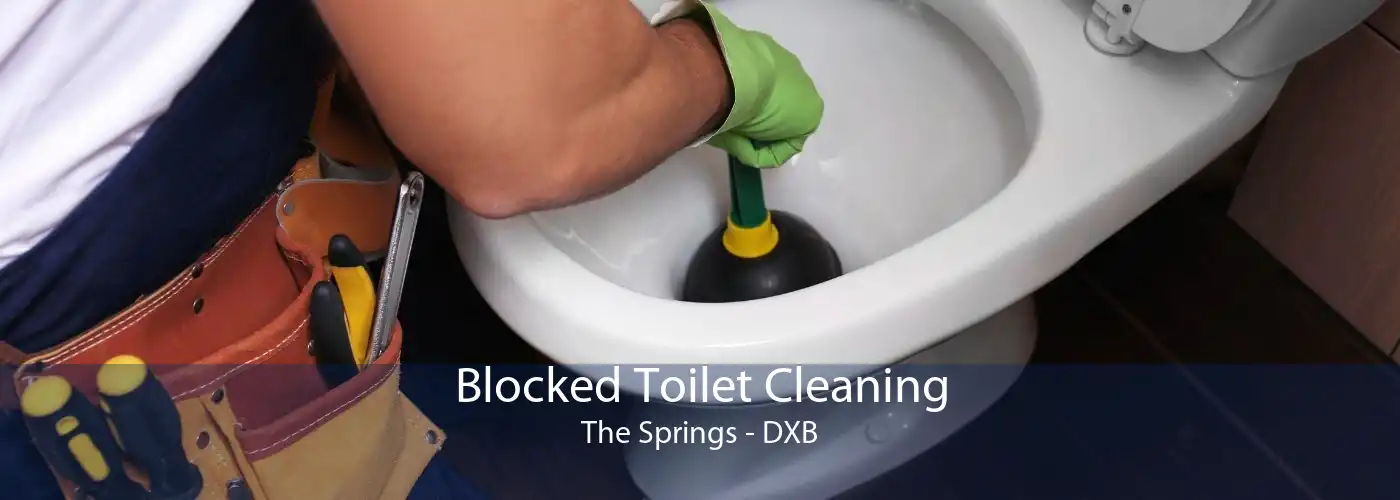 Blocked Toilet Cleaning The Springs - DXB