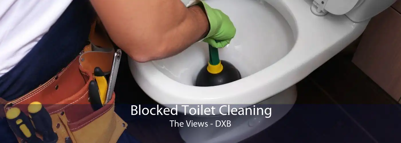 Blocked Toilet Cleaning The Views - DXB