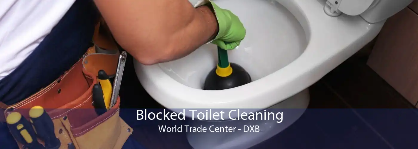Blocked Toilet Cleaning World Trade Center - DXB