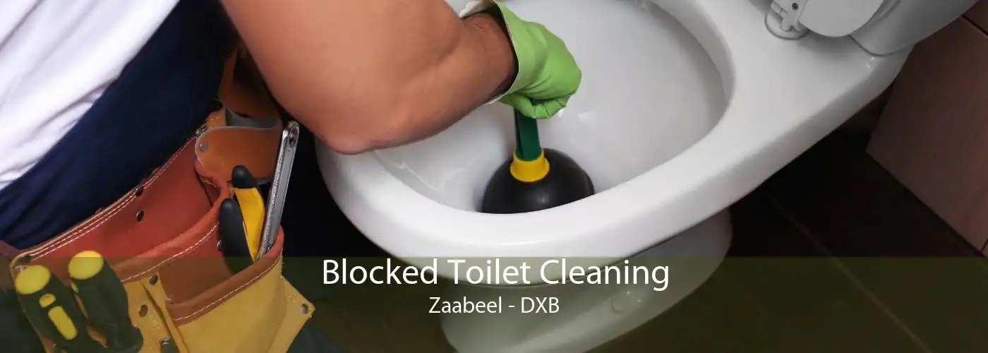 Blocked Toilet Cleaning Zaabeel - DXB