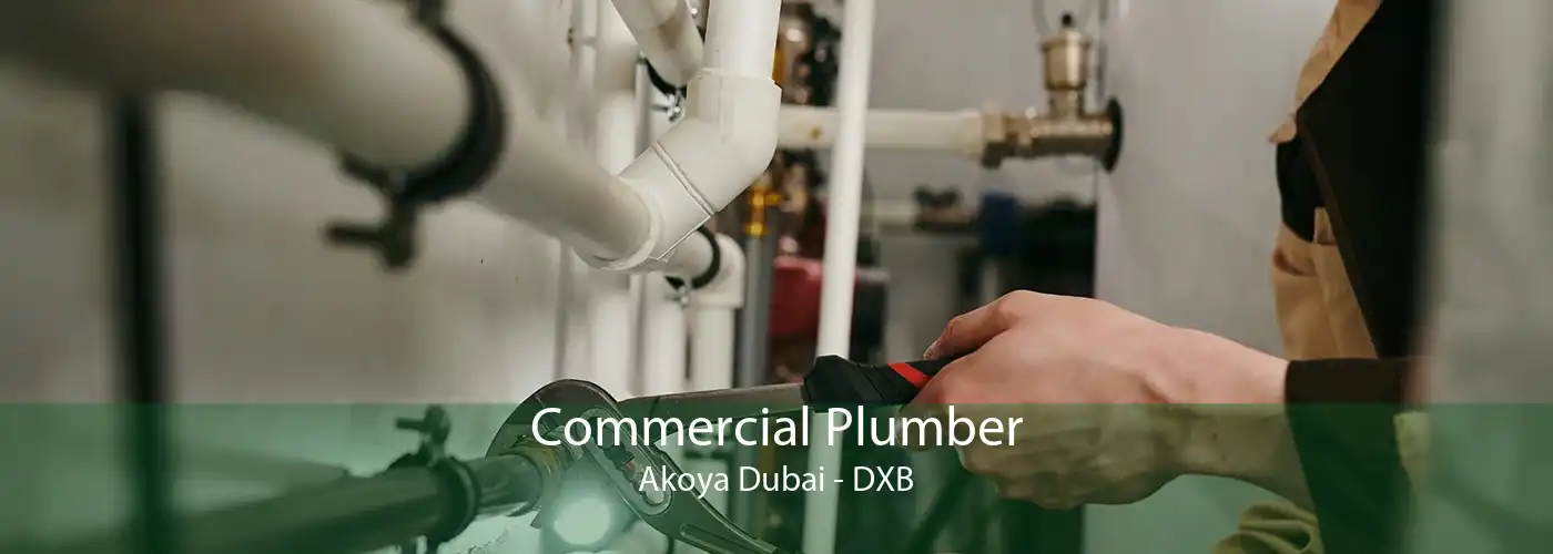 Commercial Plumber Akoya Dubai - DXB