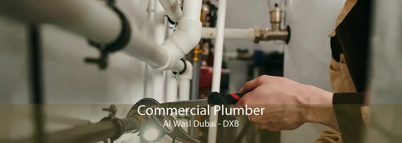 Commercial Plumber Al Wasl Dubai - DXB