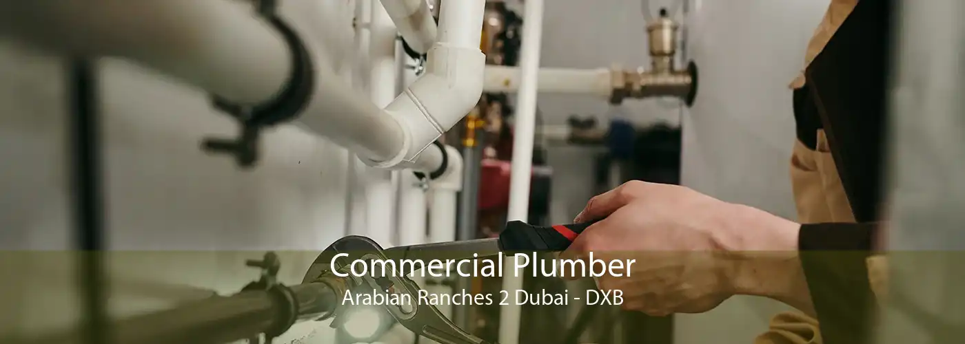 Commercial Plumber Arabian Ranches 2 Dubai - DXB