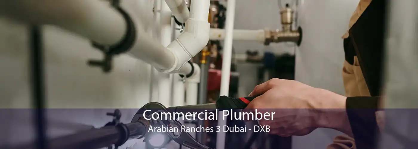 Commercial Plumber Arabian Ranches 3 Dubai - DXB