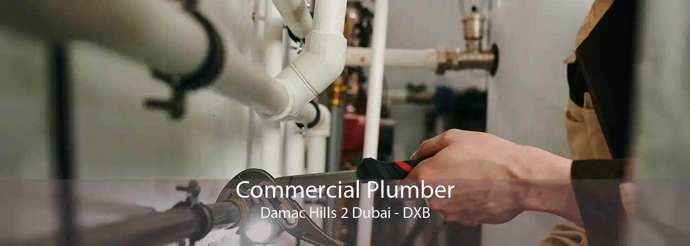 Commercial Plumber Damac Hills 2 Dubai - DXB