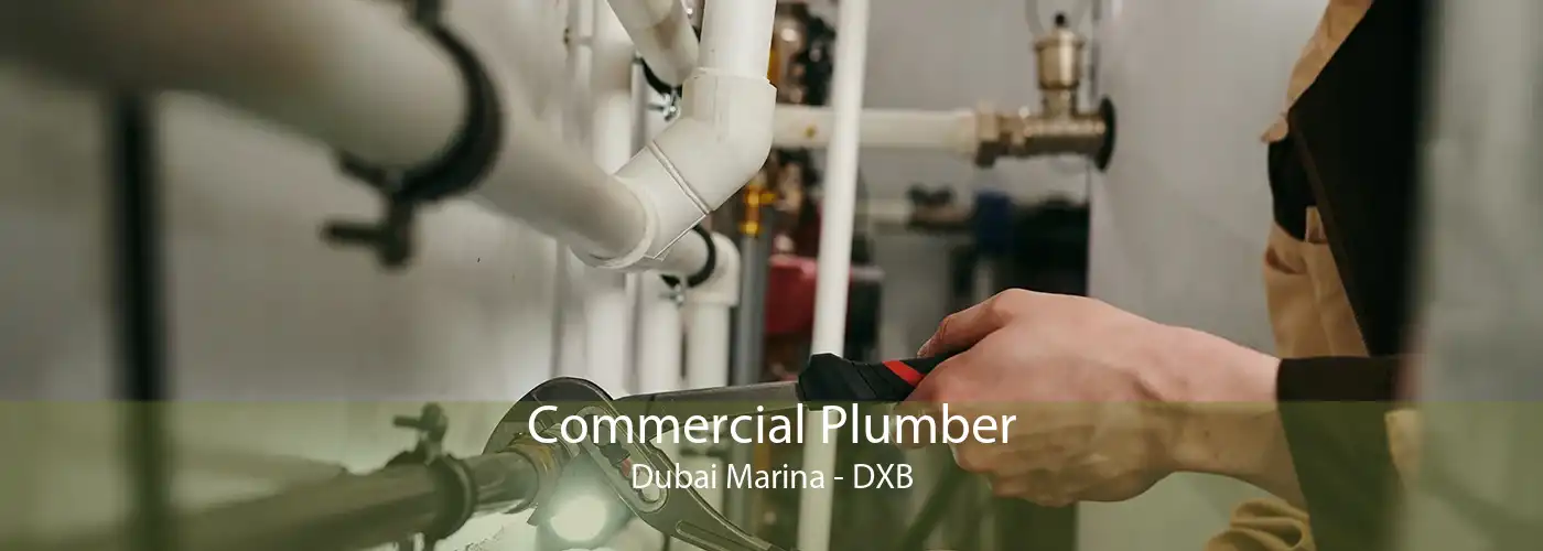 Commercial Plumber Dubai Marina - DXB