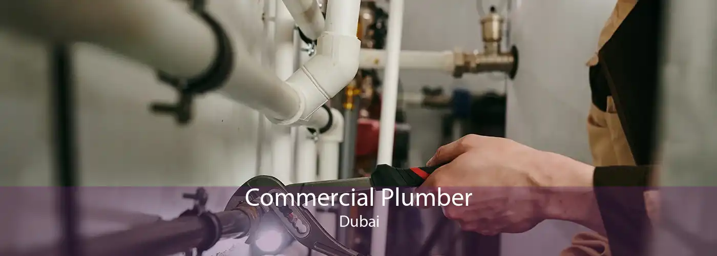 Commercial Plumber Dubai