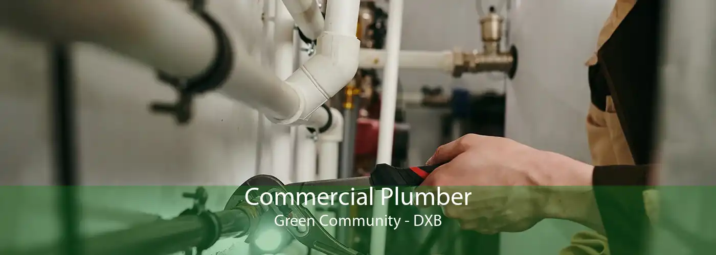 Commercial Plumber Green Community - DXB