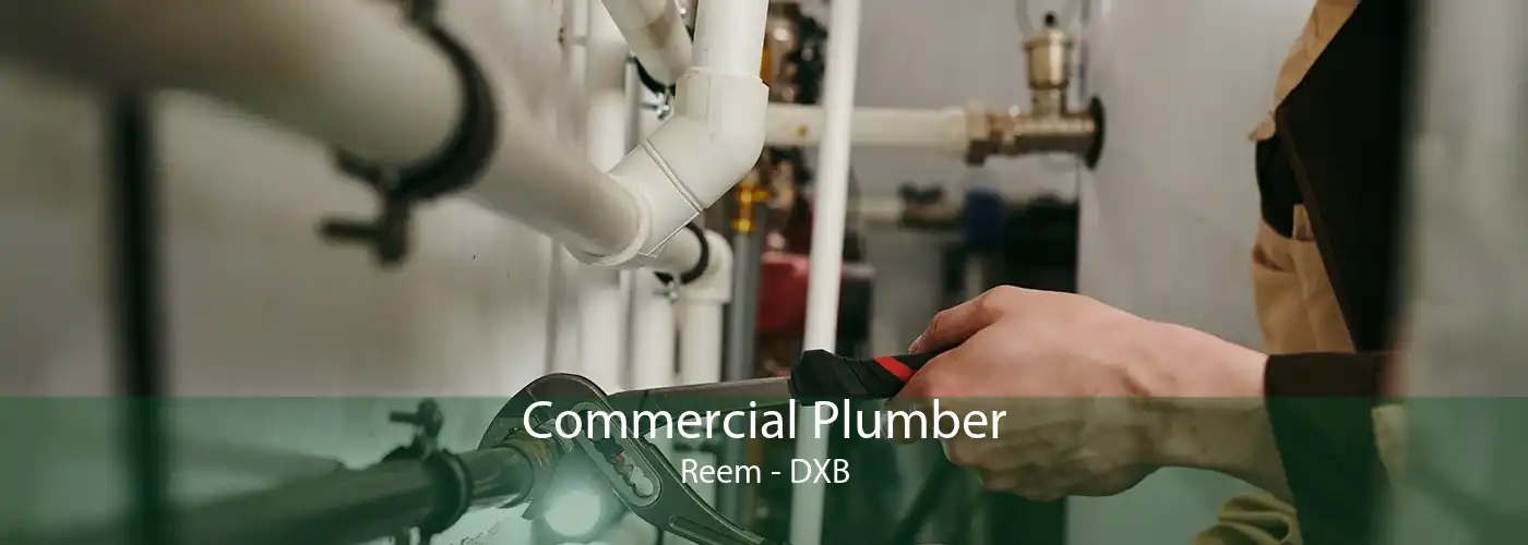Commercial Plumber Reem - DXB