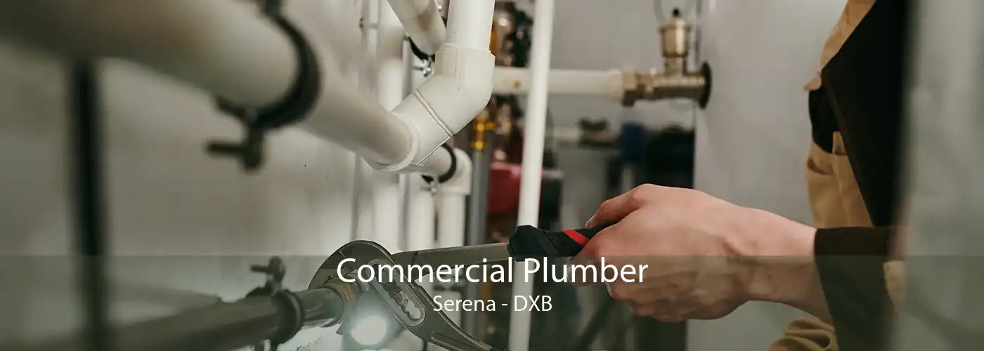 Commercial Plumber Serena - DXB