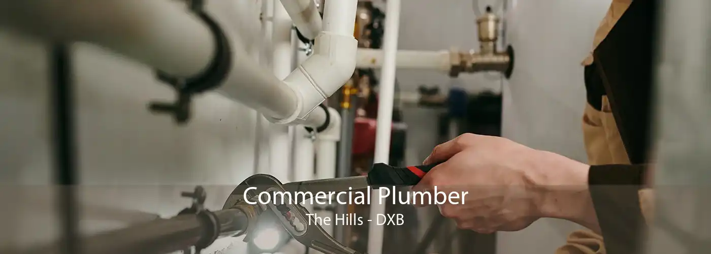 Commercial Plumber The Hills - DXB
