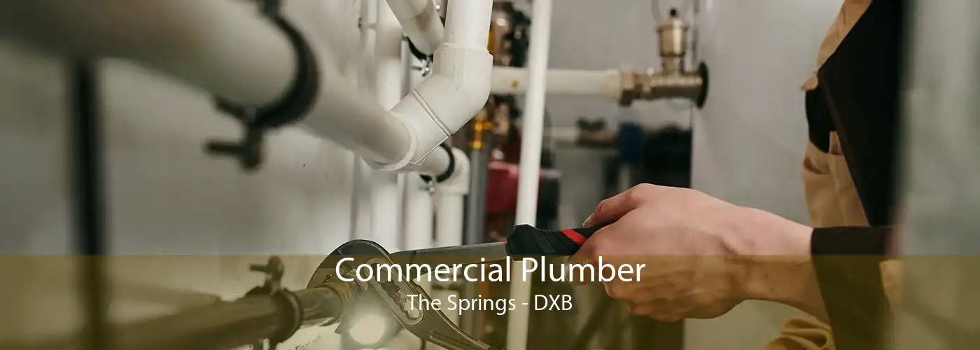 Commercial Plumber The Springs - DXB